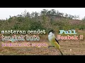 Download Lagu Masteran materi TENGKEK BUTO kombinasi SOGON,,cocok untuk Masteran CENDET//MURAI BATU//CUCAK IJO...