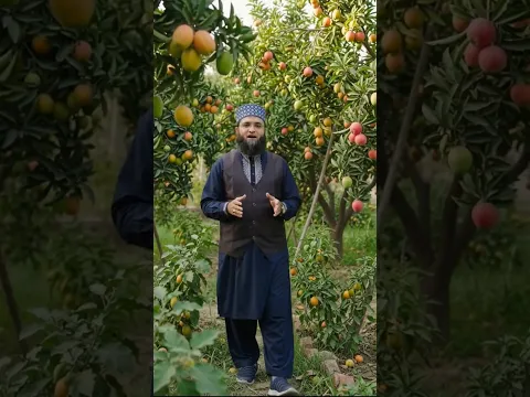 दरख़्त का हर फल सदका है  || Tree Movment #Beatifulhadees #islamicshortsviral #treemovment