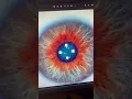 Iris Analysis 101