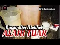 Download Lagu BBM ( BINCAN BOI MEKKEL ) ALANI TUAK - LIRIK TERJEMAHAN