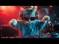 DJ MIAWW Live – Hypnotic Beats 🔥 Techno Energy for the Night | Dance with the Coolest Cat DJ! 🎧🐾🔥