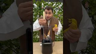 ميلك شيك مشان تصحصح 