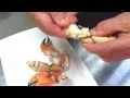 HOW TO Snap Eat a Jonah Crab Claw
