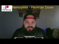 Nemophila - Hammer Down | These ladies just cannot stop! {Reaction}