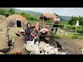 Download Lagu Epic Mountain Setup! Building Our Tent \u0026 Cooking Liver and Kidneys Over Fire