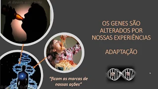 Epigenética dos sentimentos