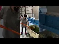 Shredding and Drying at Florida Extracts