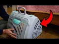 Is This SportPet Cat Carrier Actually Worth It