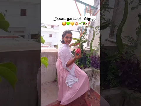 💥🌱அனைவரும் நலமாங்க...😊 new video uploaded 😊 #shorts #short #dragonfruit #viral  #toptrending