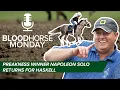 Preakness Winner Napoleon Solo Returns for the Haskell BloodHorse Monday E075