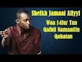 Waa 14fur Tan Qalbii Namaatiin Qabatan ~ Sheikh Jamaal Aliyyi