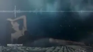 اليسا ياريت بقدر احكي مع حالي دندنها