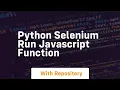 python selenium run javascript function