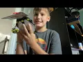 Download Lagu Bee pad! (Warning, some parts of this video are very loud and not relaxing. Watch at your own risk)