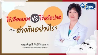  ไข้เลือดออกในระยะแรกมีอาการอย่างไรบ้าง และทำไมถึงแยกจากไข้หวัดได้ 