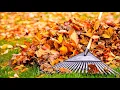 Farmers Almanac releases 2023 fall outlook for North Carolina
