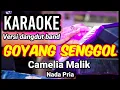 Download Lagu GOYANG SENGGOL - Camelia Malik | Karaoke dut band mix nada pria | Lirik