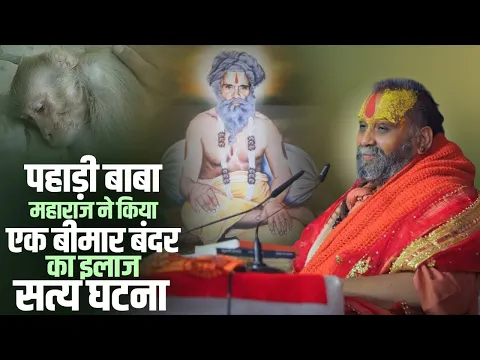 पहाड़ी बाबा महाराज ने किया एक बीमार बंदर का इलाज | सत्य घटना | Shri Rajendra Das