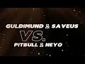 GULDIMUND & SAVEUS VS  PITBULL & NEYO COLDHANDS MASHUP