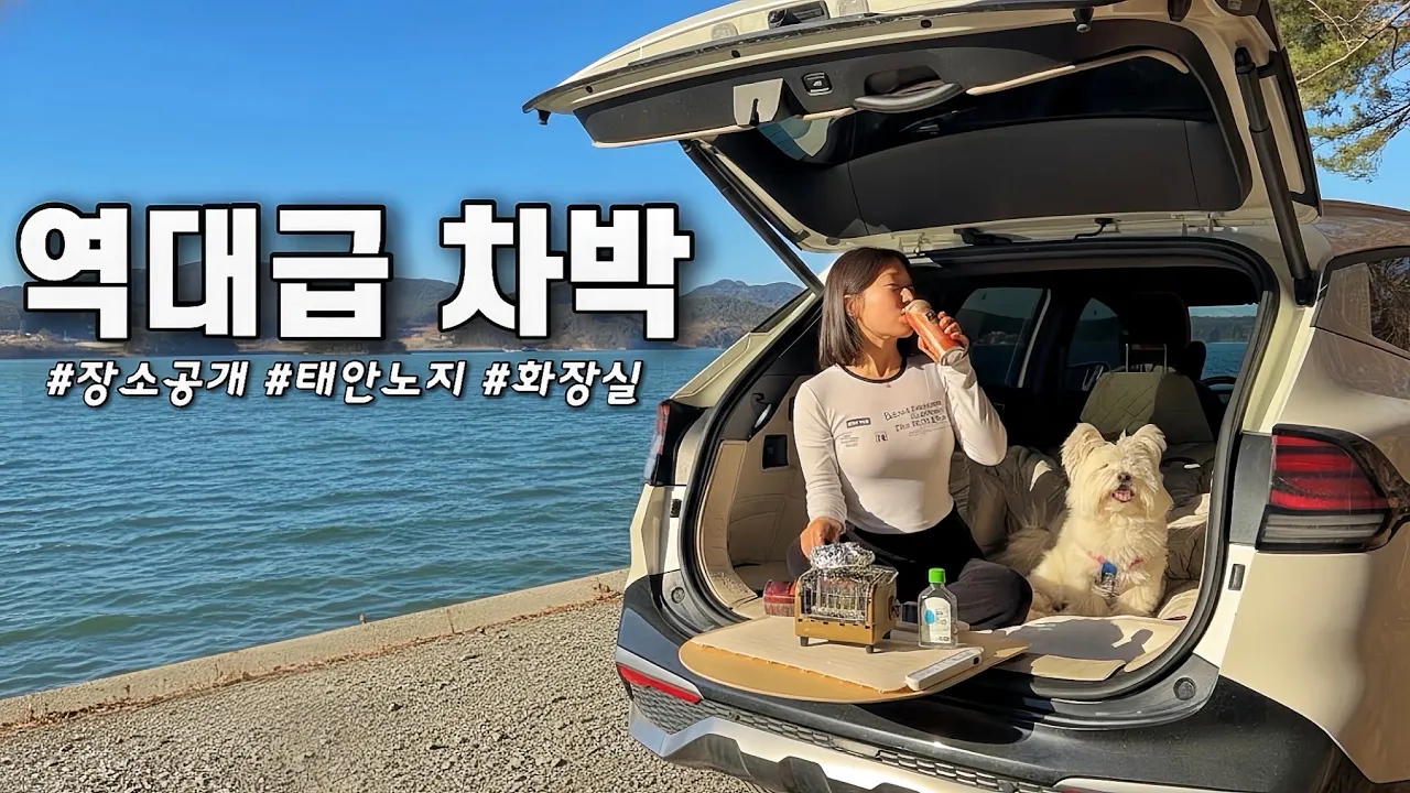 화장실 + 개수대까지 완벽한 역대급 노지 또 찾았어요!!! (feat. 자동차 방전😵) 스포티지 차박 / 태안차박 / 솔로 차박 / 솔로 캠핑 / 차박캠핑 / 태안 사창리 캠핑 썸네일