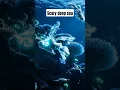 Download Lagu The Scariest Deep Sea Creatures