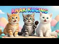 Lagu LAGU ANAK 🇮🇩 ANAK KUCING MEONG MEONG - KITTEN SONG - LAGU ANAK BALITA VIRAL