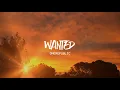 OneRepublic - Wanted