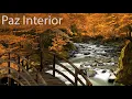 Lagu Meditação e Paz de Espirito - Música Relaxante e Sons da Natureza Para Dormir e Relaxar - Estudar