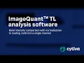 ImageQuant analysis software - Band intensity comparison to loading control