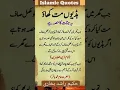 Download Lagu Ye jinnaat ka hisa hai isy mat Khao  #islamicquotes #islamicshorts