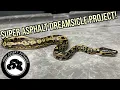 Super Asphalt Dreamsicle Project High Desert Pythons