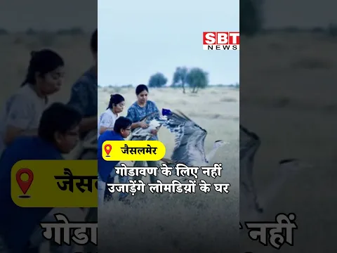 गोडावण के लिए नहीं उजाड़ेंगे लोमडिय़ों के घर| SBT News
