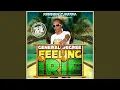 Download Lagu Feeling Irie