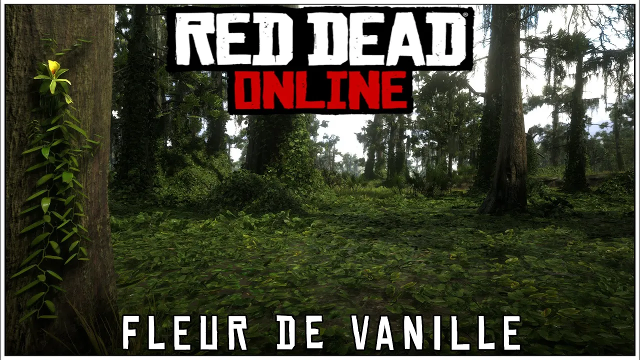 RED DEAD ONLINE - EMPLACEMENT FLEUR DE VANILLE