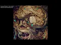 Download Lagu FULL ALBUM: Amnesia Channel + Dosis Letalis