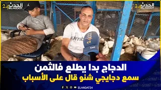 من سوق الدواجن الدجاج بدا يطلع في التمن سمعوا شحال التمن ديال اليوم