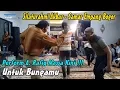 Download Lagu Untuk Bungamu Cover Ghalib Segair - Silaturahim Olive BNR (Bogor Nirwana Residence) #Majlas
