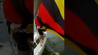 #sailing #fun #water #texas #shorts #dolphins