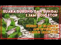 Download Lagu SUARA BURUNG PIPIT DAN ALIRAN SUNGAI - MUSIK UNTUK HEALING - 1 JAM