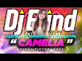 Download Lagu REMIX NEW CAMELIA FUNKOT VERSION 2023 | DJ ELIND LIVE AT IBIZA CLUB SURABAYA