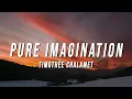 Download Lagu Timothée Chalamet - Pure Imagination (Lyrics) from Wonka