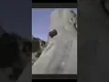 Moab lions back THE crash