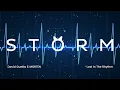David Guetta & MORTEN - Lost In The Rhythm [Storm Music Group]