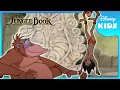 Download Lagu 🐒 Monkeys Ambush Mowgli! | Jungle Book | Disney Kids