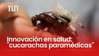 "Cucarachas paramédicas": una curiosa innovación para asistir a personas atrapadas