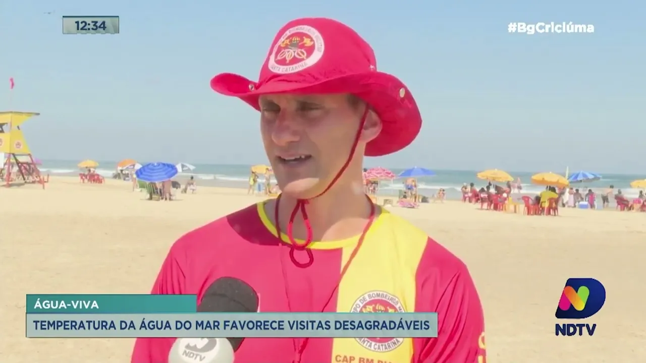 Temperatura do mar favorece a aparição de águas-vivas