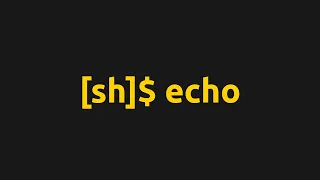 Implementing a Shell In C - Echo Command