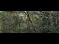 PUPUKA Shortfilm   Subtitled Trailer