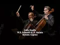 Download Lagu Cello Duello - Servais Caprice