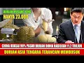 Download Lagu Tiongkok Makin Gila! Durian China Menyebabkan Ribuan Perkebunan Durian di Asia Tenggara Tutup